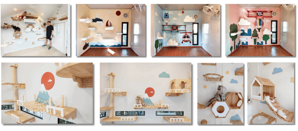 รับสร้างบ้านน้องแมว จาก ไทยด็อกเฮ้าส์
