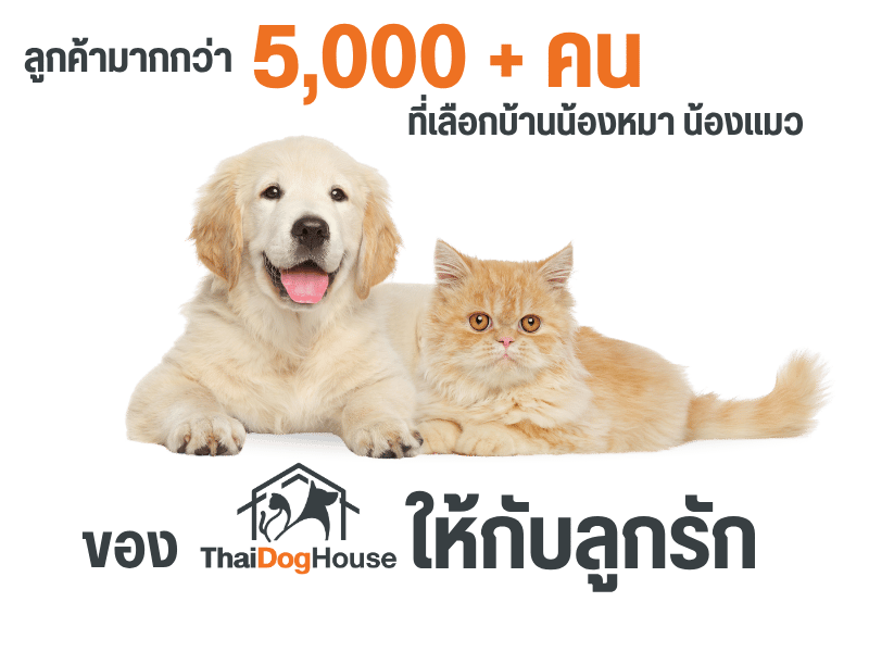 ที่เลือกบ้านน้องหมา น้องแมว เลือก Thai dog House ที่เลือกบ้านน้องหมา น้องแมว เลือก Thai dog House