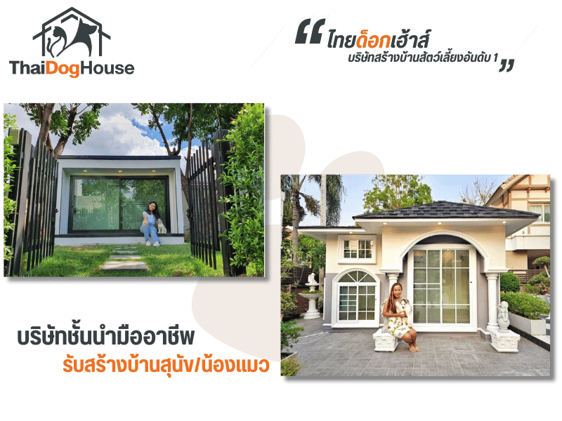 บริษัทชั้นนำมืออาชีพรับสร้างบ้านสุนัขน้องแมว บริษัทชั้นนำมืออาชีพรับสร้างบ้านสุนัขน้องแมว